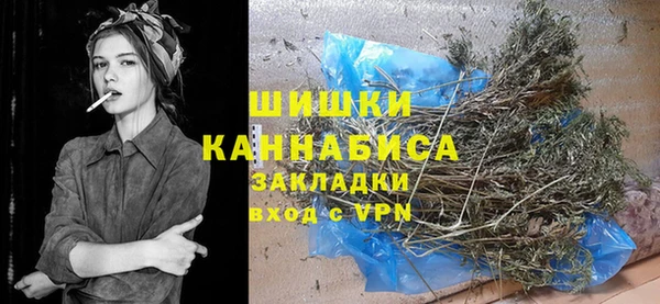 индика Заволжье