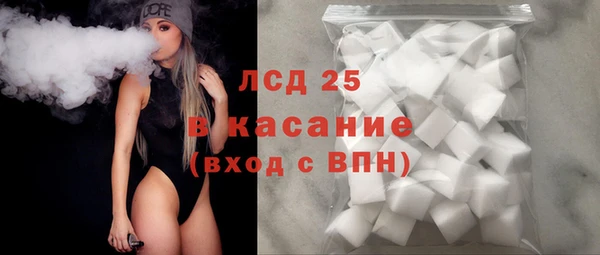 индика Заволжье