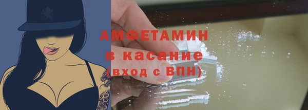 индика Заволжье