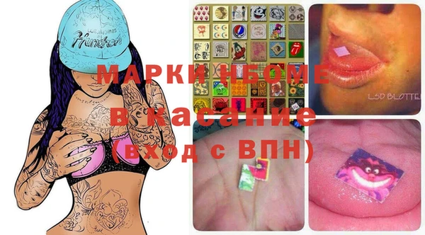индика Заволжье