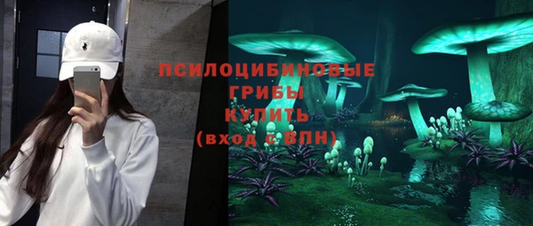 индика Заволжье