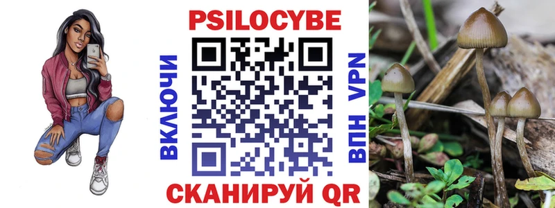 Купить закладки  Елизово  Галлюциногенные грибы GOLDEN TEACHER 